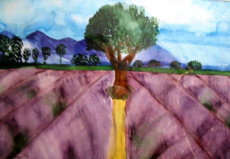 15-Lavendel-Aquarell-2008-1