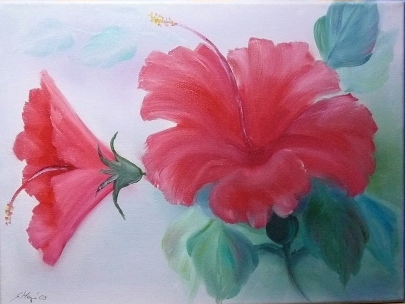 22-Hibiscus-Oel-2009-1