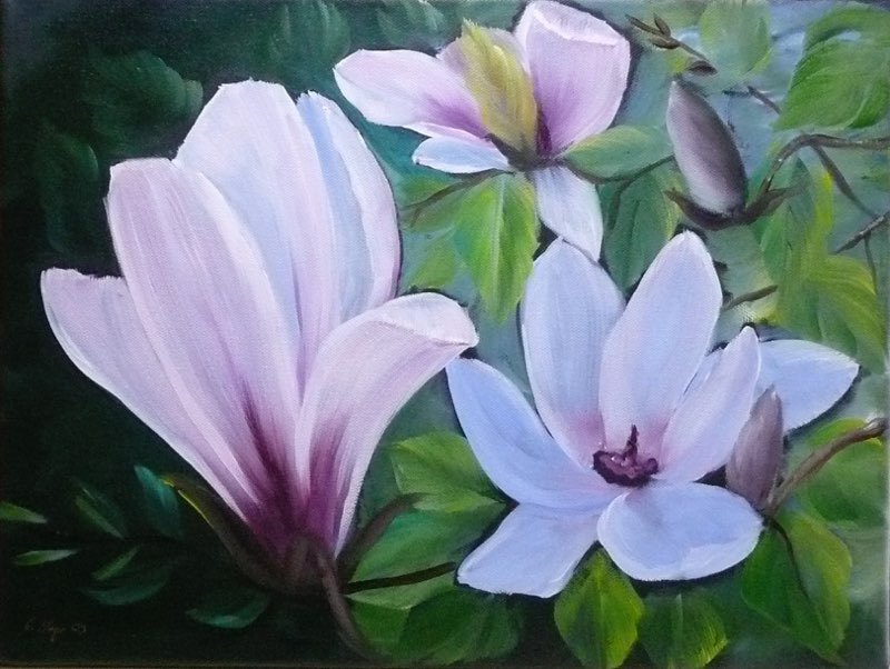 26-Magnolien-Oel-2009-1